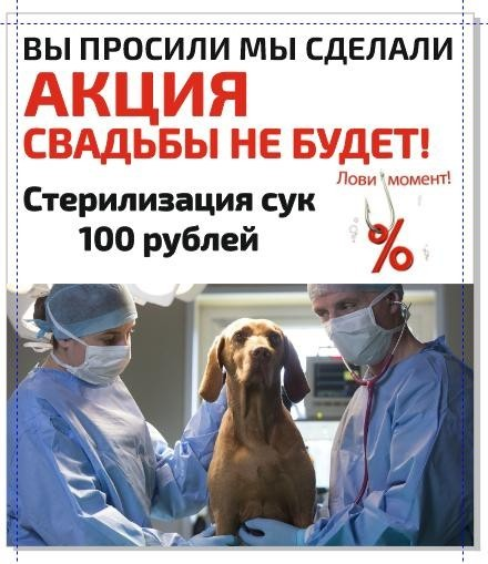 Акция - Свадьбы не будет! Стерилизация сук