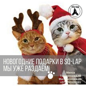 Новогодние подарки в SQ-Lap