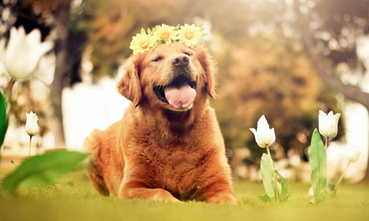 Весна - время акций и скидок!