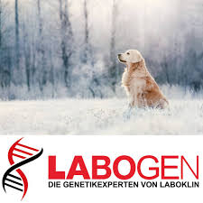 Ветеринарная клиника «SQ-lap» стала официальным партнером  немецкой лаборатории LABOKLIN в Беларуси.