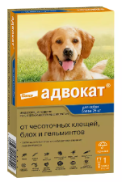 Адвокат для собак более 25 кг