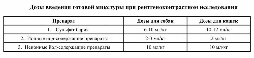 Рентген в Минске для животного