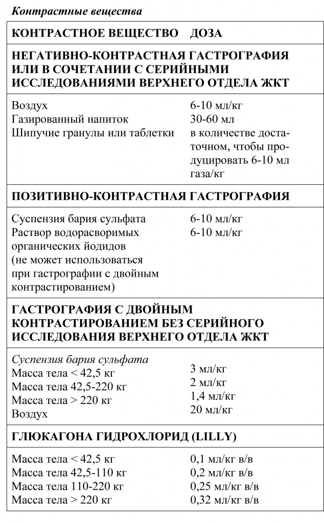Рентген в Минске для животного