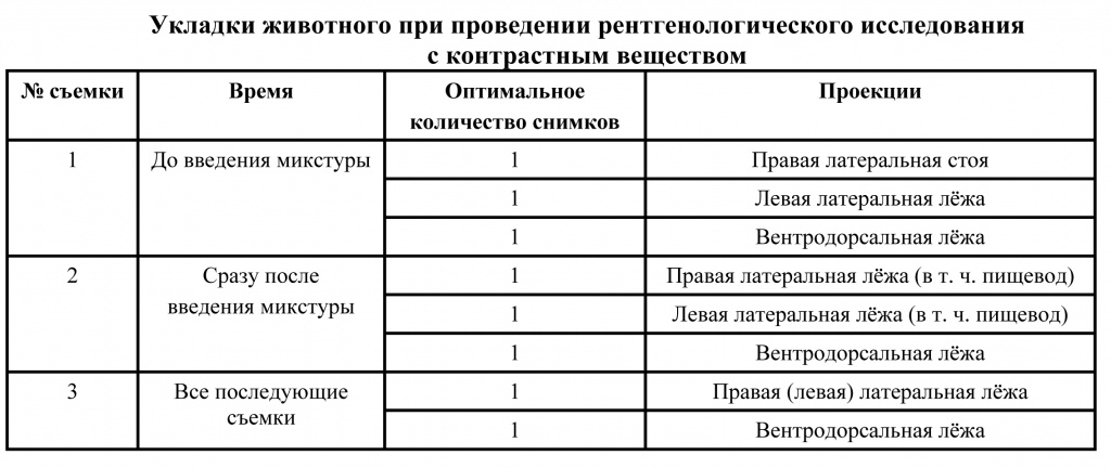 Рентген для животного