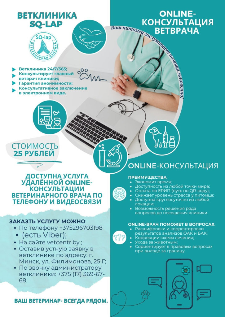 Онлайн-консультация