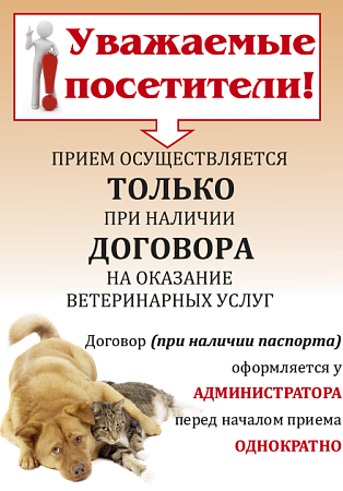 О договоре на ветеринарные услуги 