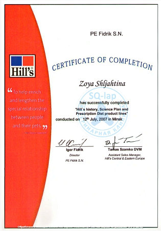 Шляхтина З.В. - Certifacate of completion