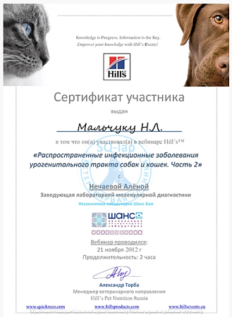 Мальчук Н.Л. - Заболевания урогенитального тракта собак и кошек. Часть 2