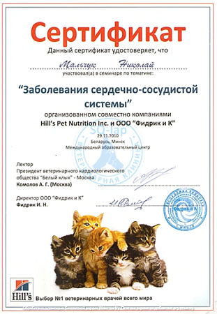 Мальчук Н.Л. - Заболевания сердечно-сосудистой системы