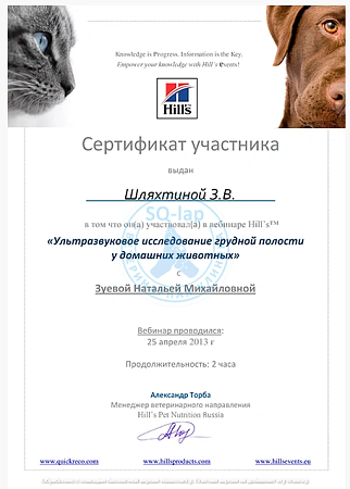 Шляхтина З.В. - Ультразвуковое исследование грудной полости