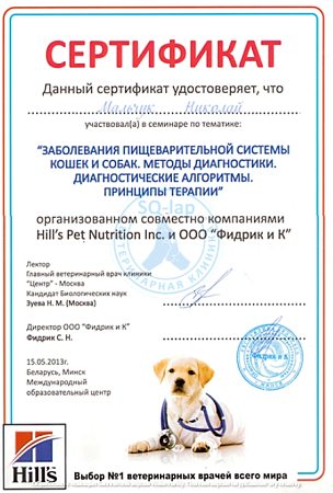 Мальчук Н.Л. - Заболевания пищеварительной системы кошек и собак