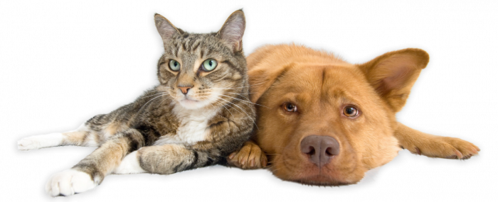 ВетАптека и ЗооТовары КРУГЛОСУТОЧНО